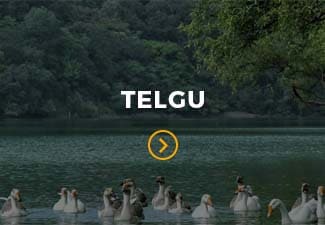 Client Registration Document in Telugu