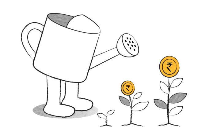 money-plant